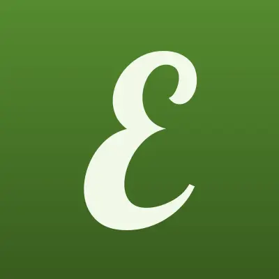 Электросвязь.Сети.Системы, лого-визитка