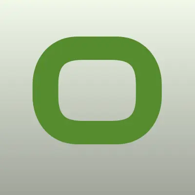 Оптимист, общественная организация, лого-визитка